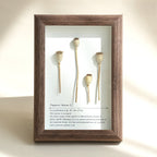 "The Landscape Garden"  Real Flower Shadow Box
